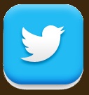 icono-para-acceder-a-Twitter